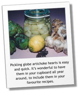 Pickling globe artichoke hearts is easy and quick. It’s wonderful to have them in your cupboard all year around, to include them in your favourite recipes.